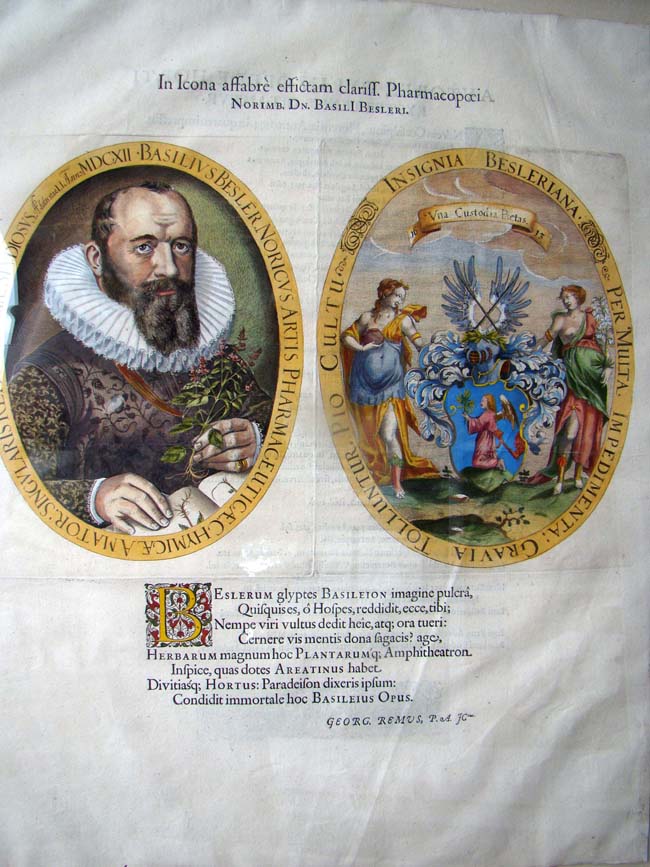 A RARE Frontispiece from Basilius Besler's “Hortus Eystettensis“ published in 1640 — image 4